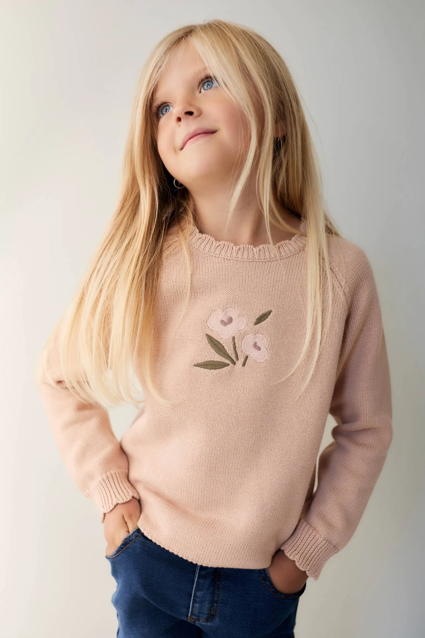 Audrey Knitted Jumper - Dusky Rose Petite Goldie