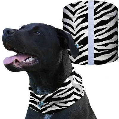 Dog Shields  | Zebra Stripes