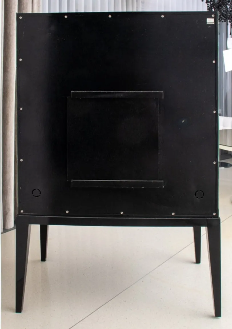 Modern Mirrored Ebonized Wood Two Door Cabinet